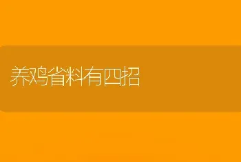 养鸡省料有四招