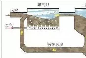 活性污泥法处理水产养殖循环用水