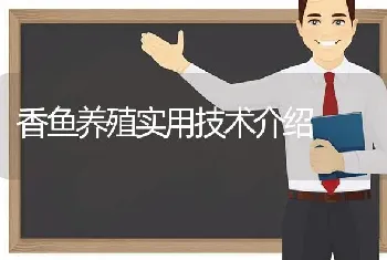 香鱼养殖实用技术介绍