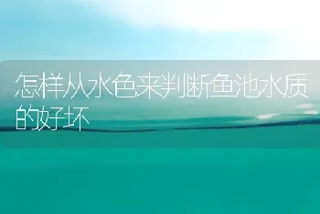 怎样从水色来判断鱼池水质的好坏