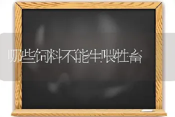 哪些饲料不能生喂牲畜