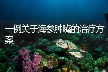 一例关于海参肿嘴的治疗方案