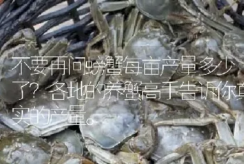 不要再问螃蟹每亩产量多少了?各地的养蟹高手告诉你真实的产量。