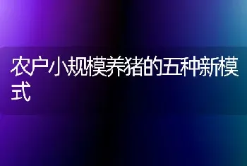 农户小规模养猪的五种新模式