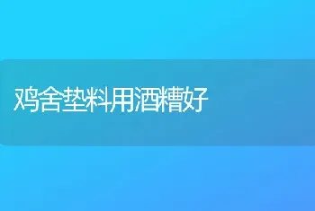 鸡舍垫料用酒糟好