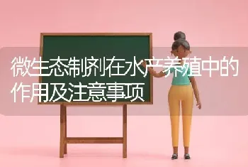 微生态制剂在水产养殖中的作用及注意事项