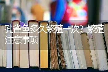 孔雀鱼多久繁殖一次?繁殖注意事项