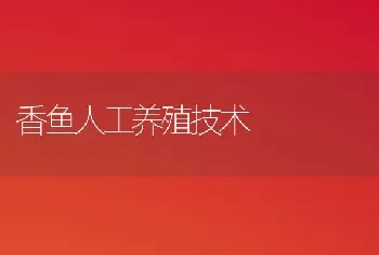 香鱼人工养殖技术