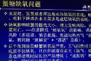 高温期河蟹养殖户如何科学有效增氧,防缺氧