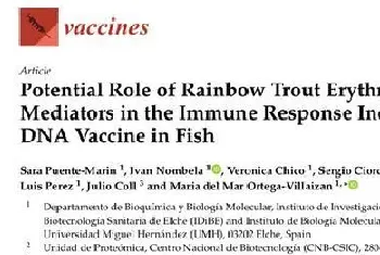 论文解读--虹鳟红细胞在鱼类DNA疫苗诱导免疫应答中的潜在作用