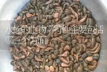 水蛭的生物学特性主要包括哪三个方面