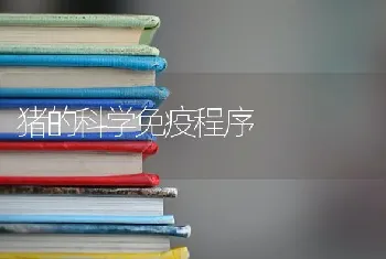 猪的科学免疫程序