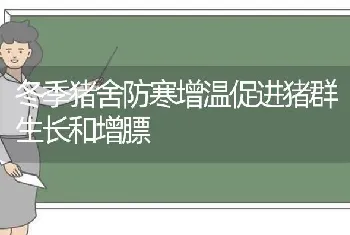 冬季猪舍防寒增温促进猪群生长和增膘