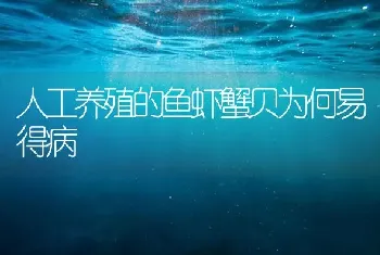 人工养殖的鱼虾蟹贝为何易得病