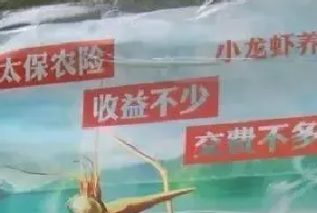 特别推荐：稻虾种养之湖南模式