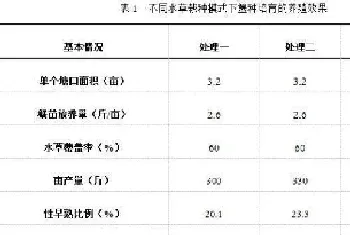 河蟹种塘选哪种水草栽种模式?数据对比告诉你真相