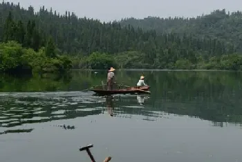 鱼类生长不随着投饲量的增加而增长