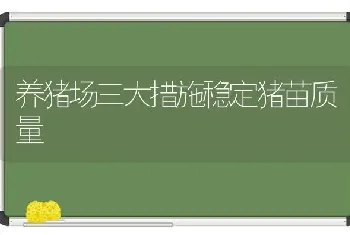 养猪场三大措施稳定猪苗质量