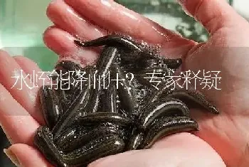 水蛭能降血压?专家释疑