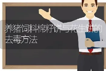 养猪饲料棉籽饼与花生饼的去毒方法