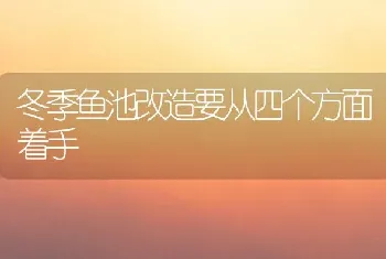 冬季鱼池改造要从四个方面着手