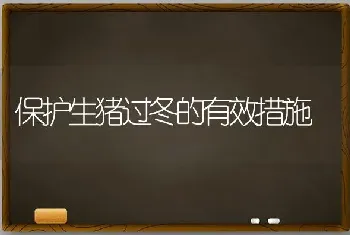 保护生猪过冬的有效措施