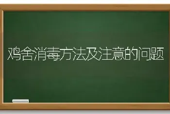 鸡舍消毒方法及注意的问题