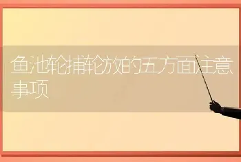 鱼池轮捕轮放的五方面注意事项