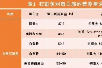 石斑鱼的营养需求研究