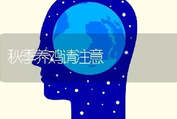 秋季养鸡请注意