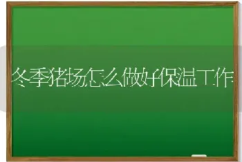 冬季猪场怎么做好保温工作