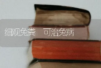 细观兔粪 可治兔病