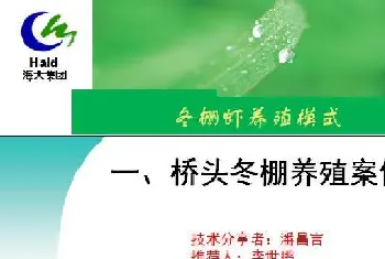 海南海口演丰镇、澄迈县桥头镇冬棚对虾养殖模式分享