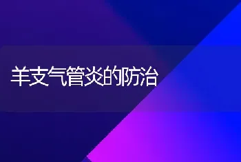 羊支气管炎的防治