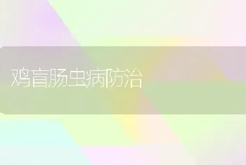 鸡盲肠虫病防治