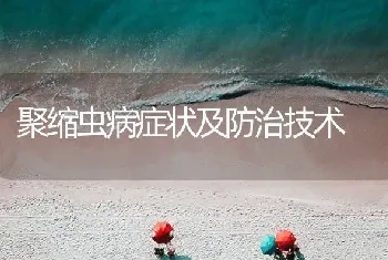 聚缩虫病症状及防治技术