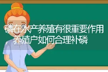 磷在水产养殖有很重要作用,养殖户如何合理补磷