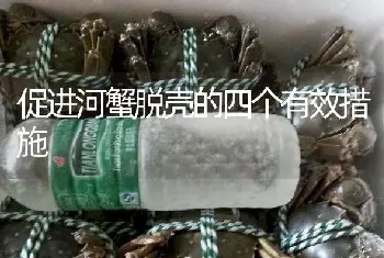 促进河蟹脱壳的四个有效措施