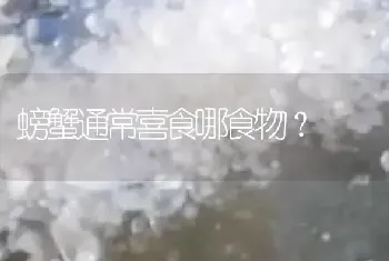 螃蟹通常喜食哪食物?