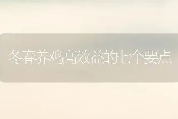 冬春养鸡高效益的七个要点