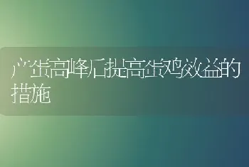 产蛋高峰后提高蛋鸡效益的措施