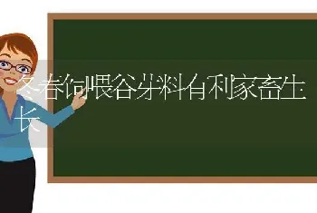 冬春饲喂谷芽料有利家畜生长