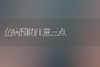 鱼病预防注意三点