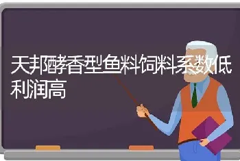 天邦酵香型鱼料饲料系数低利润高