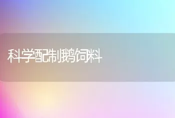 科学配制鹅饲料