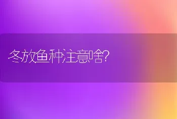 冬放鱼种注意啥?