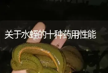 关于水蛭的十种药用性能