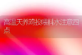 高温天养鸡投喂料水注意四点