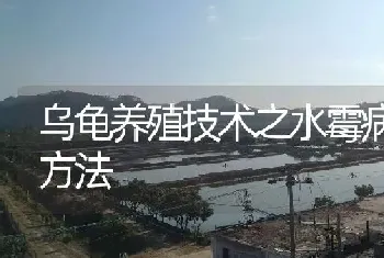 乌龟养殖技术之水霉病防治方法