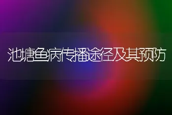 池塘鱼病传播途径及其预防